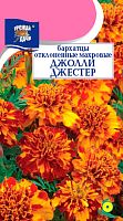 Семена  Бархатцы  Джолли Джестер махровые