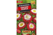 Семена Астра зимняя вишня помпонная