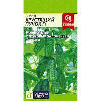 Семена Огурец Хрустящий пучок