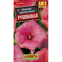 Семена Лаватера Рубиновая