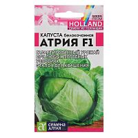 Семена Капуста Атрия позднеспелый