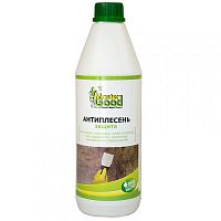Состав защитный Master Good Антиплесень, 1 л